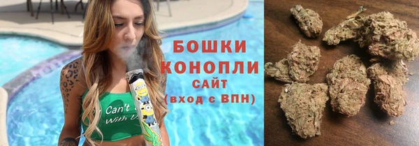 гидропоника Алзамай