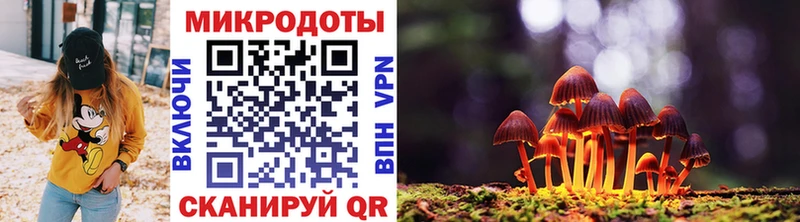 Галлюциногенные грибы GOLDEN TEACHER  где купить наркоту  Сельцо 