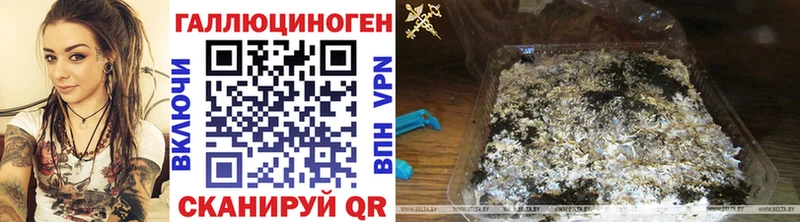 Псилоцибиновые грибы ЛСД Сельцо